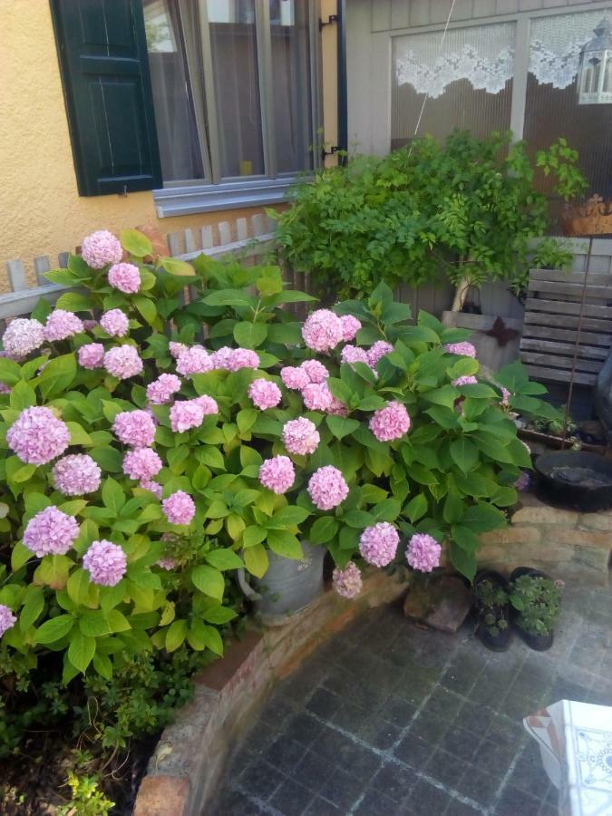 Omas Schmuckkaestle Villa Lauingen Eksteriør bilde